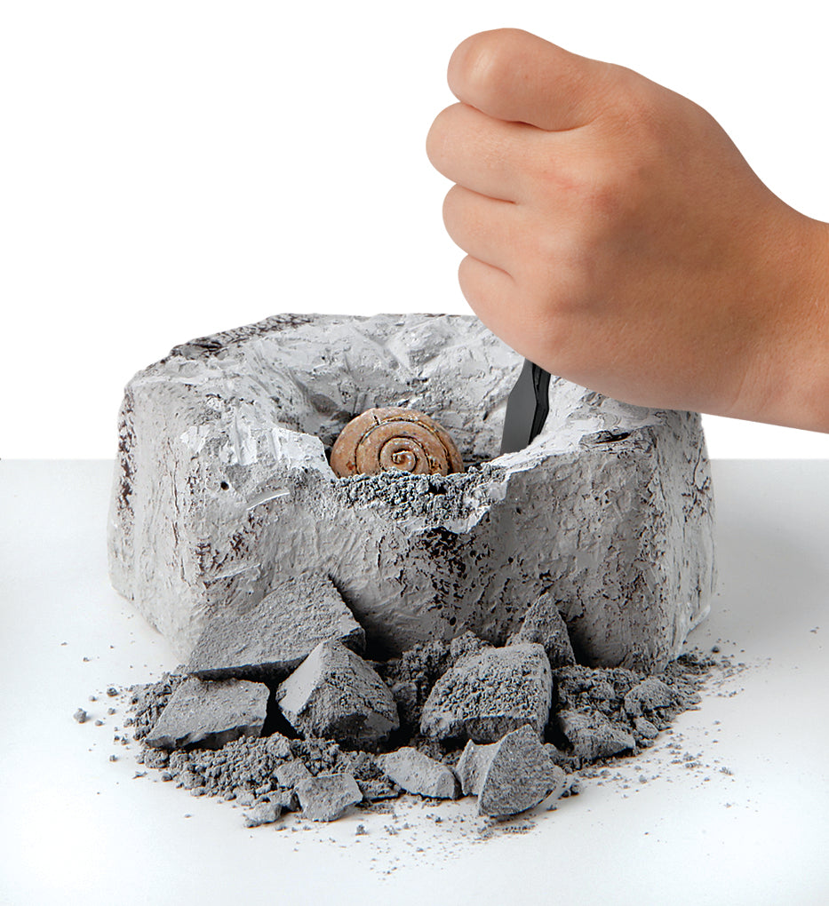 Discovery #MINDBLOWN Toy Excavation Kit Mini Fossil 2pc