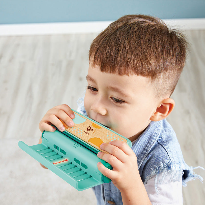 Hape teach-me Harmonica