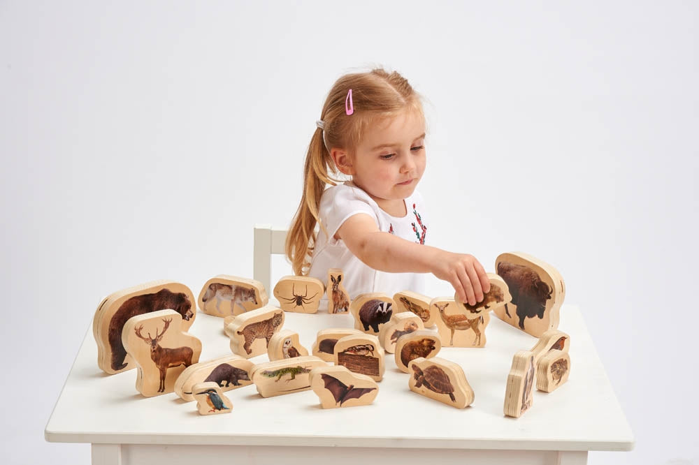 TickiT Wooden Forest Animals Blocks