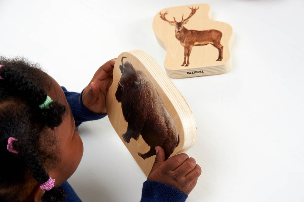 TickiT Wooden Forest Animals Blocks