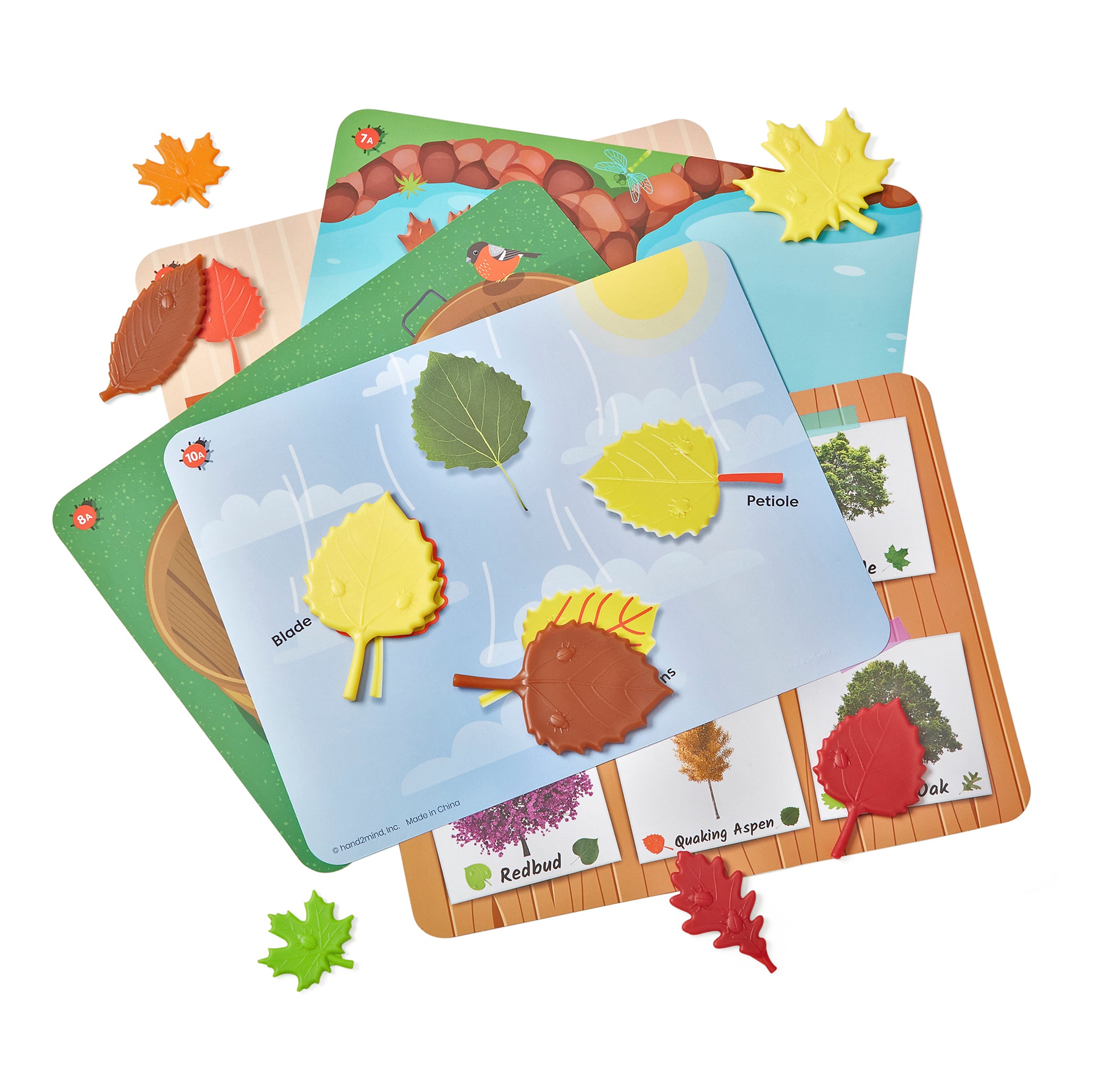 Learning Resources Sensory Leaves Math Activity Set