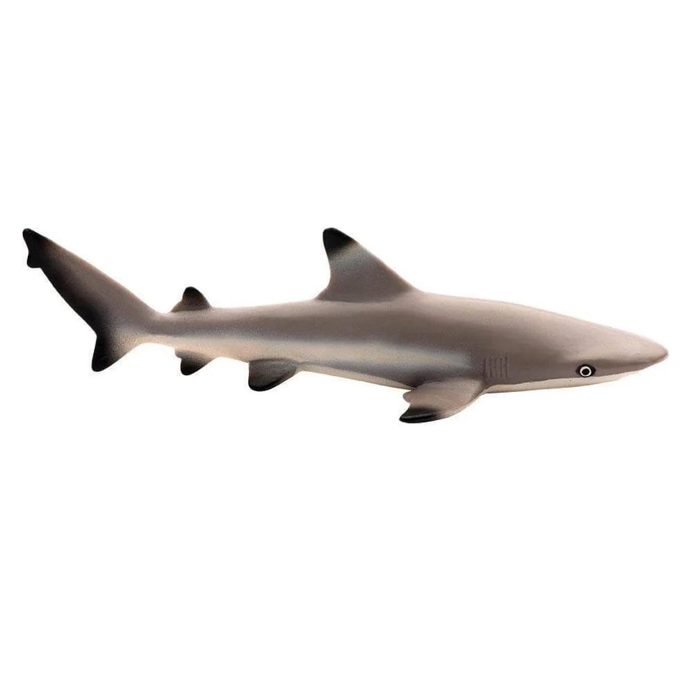Safari Black Tip Reef Shark