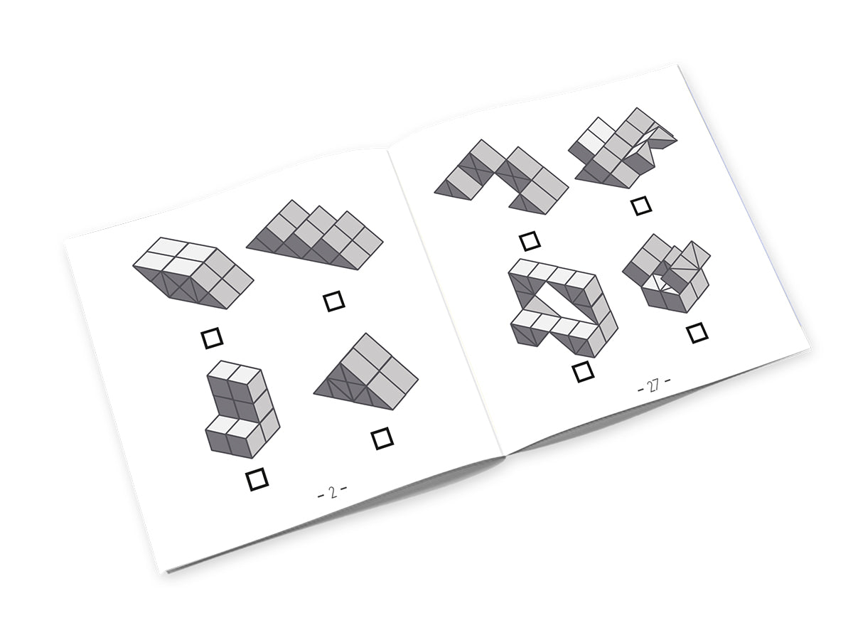 Recent Toys Dynacube