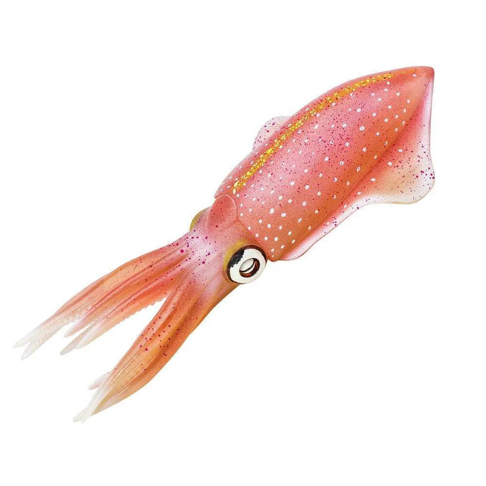 Safari Reef Squid