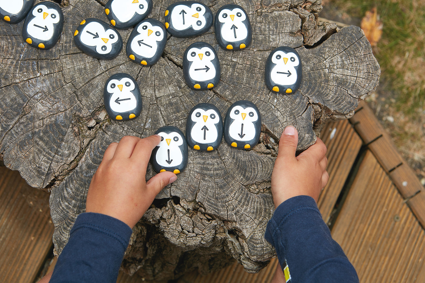 Yellow Door Pre-Coding Penguin Stones