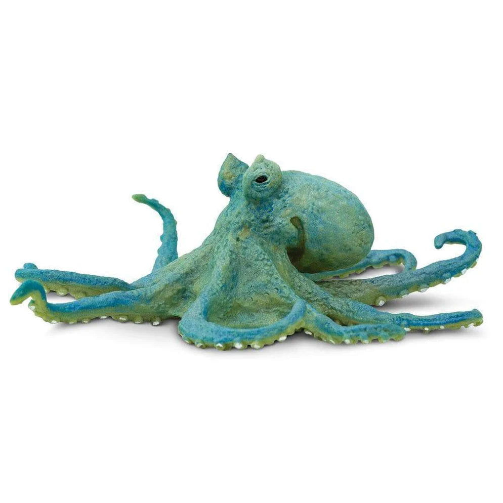 Safari Octopus-S200929