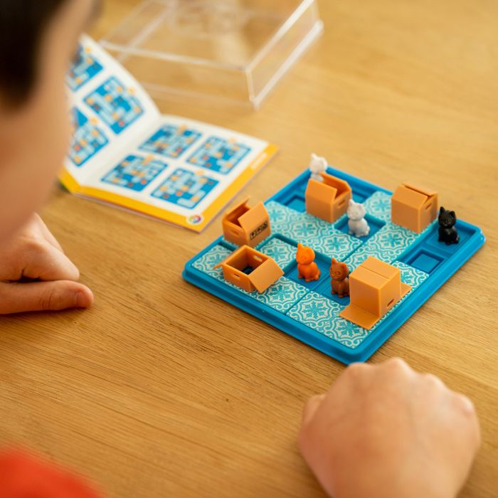 Smart Games Cats & Boxes