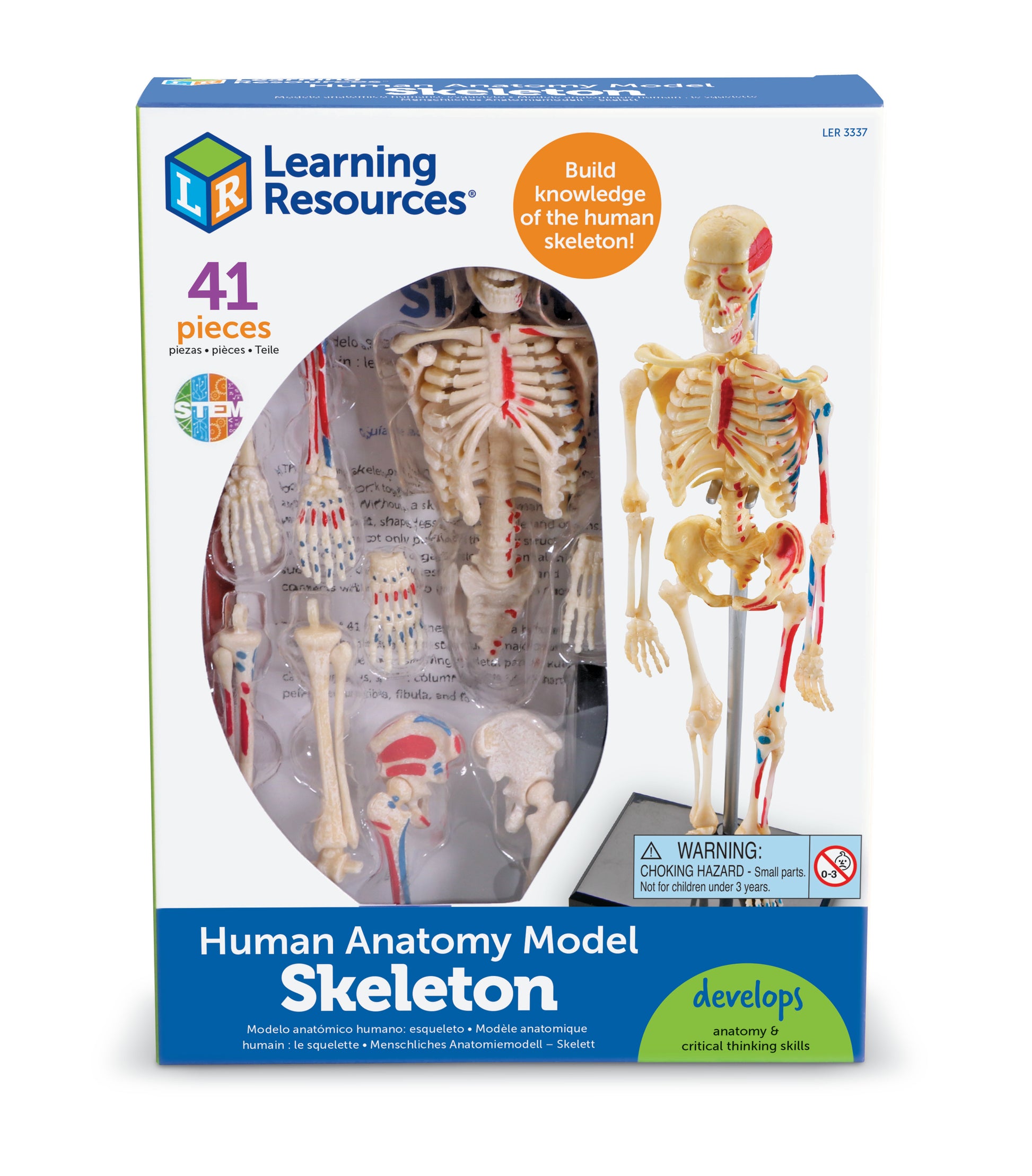 Learning Resources Skeleton Model