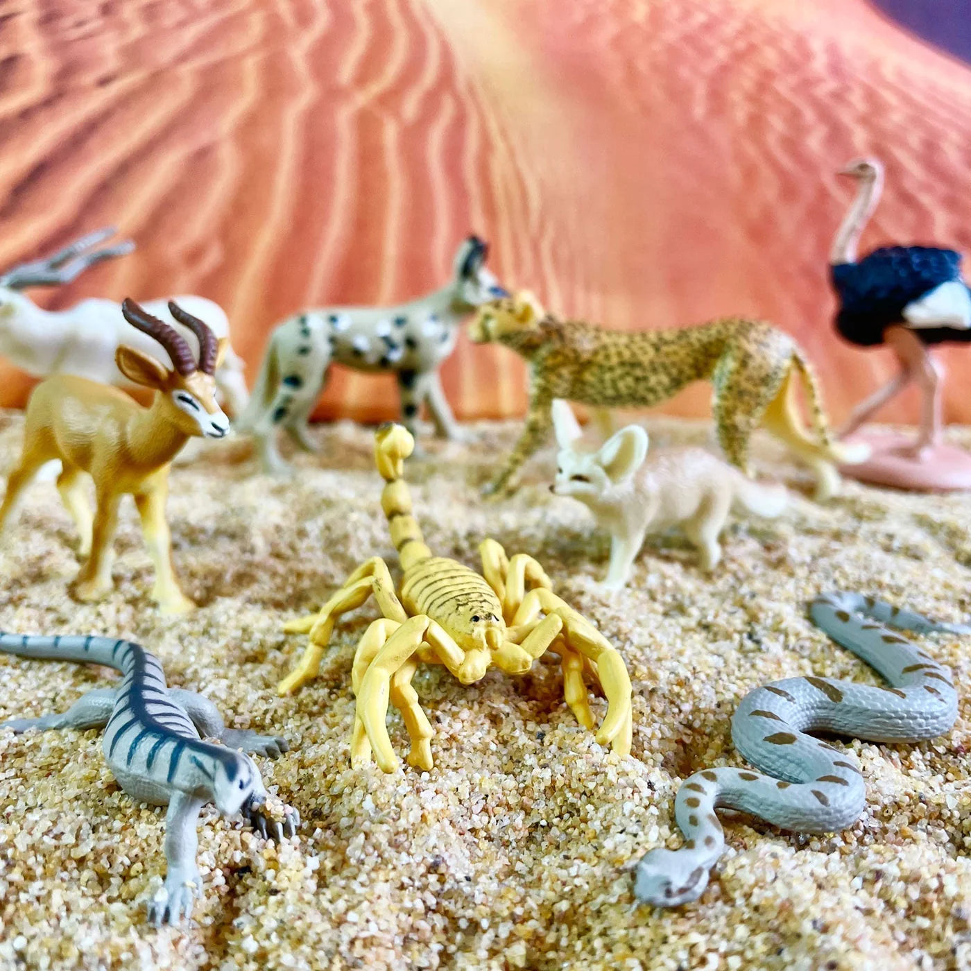Safari Toob Sahara Desert Animals (9 Pieces)