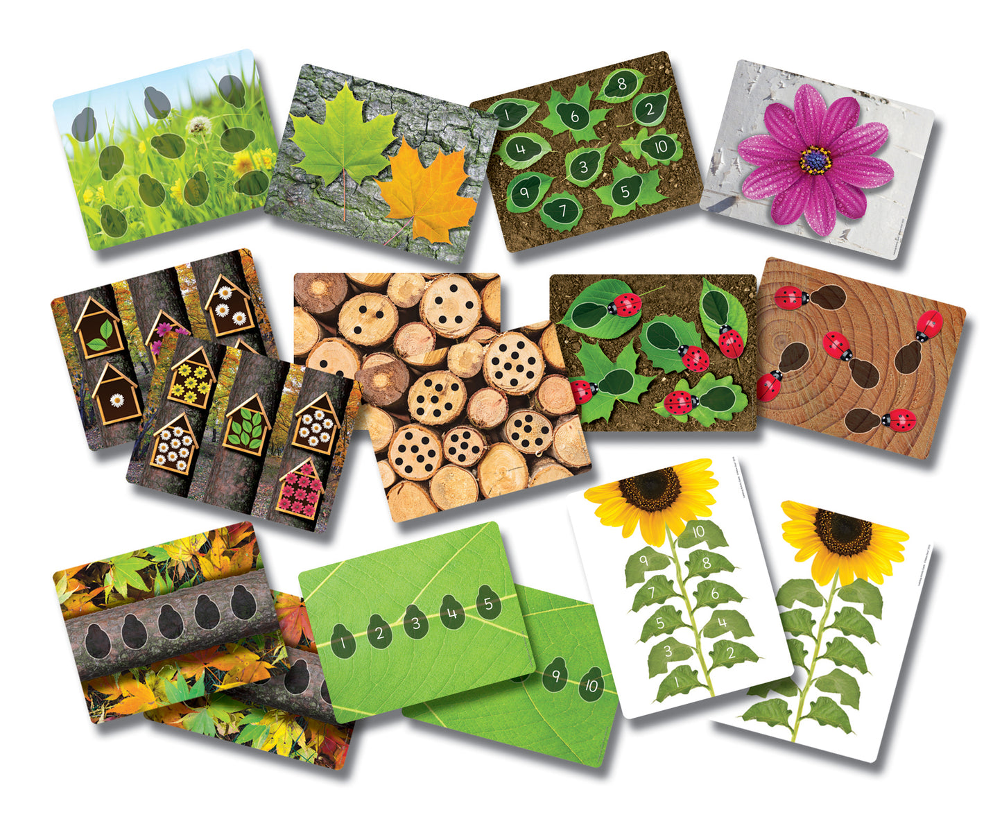 Yellow Door Ladybug Counting Cards