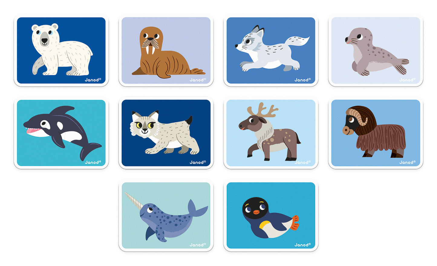 Janod Magneti'Book Polar Animals