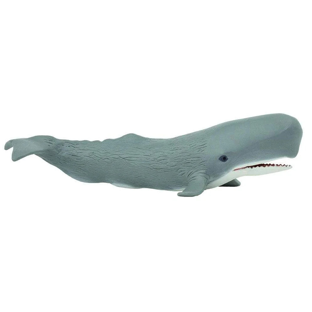 Safari Sperm Whale-S275529