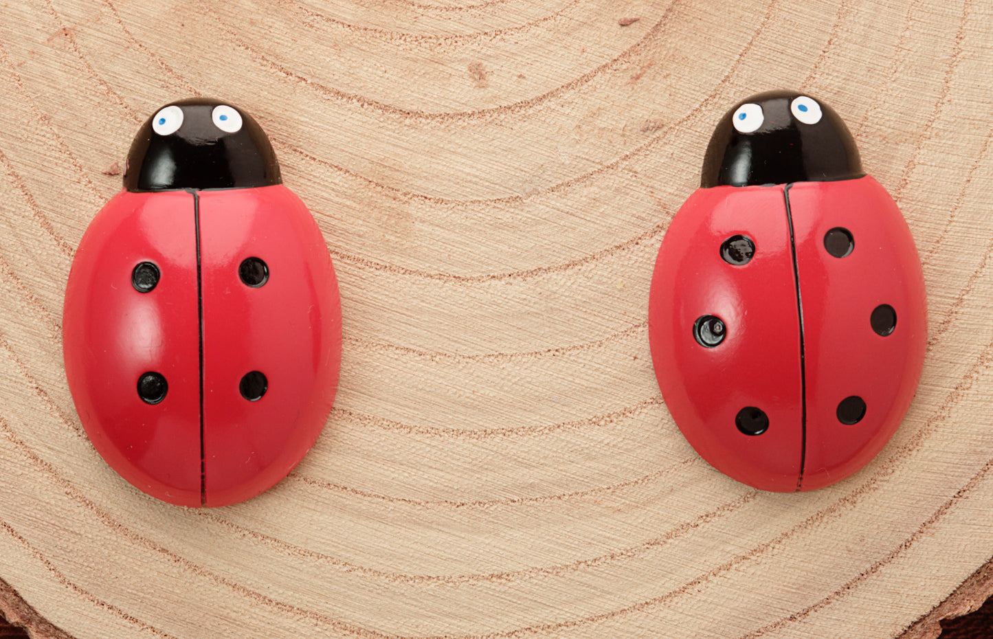 Yellow Door Ladybug Counting Stones