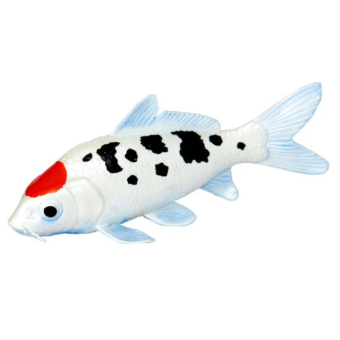 Safari Tancho Koi