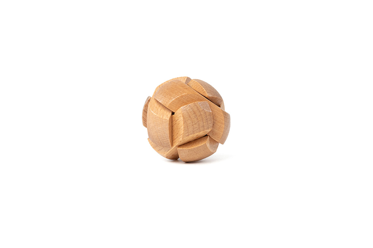 Recent Toys Are You Puzzles CDU