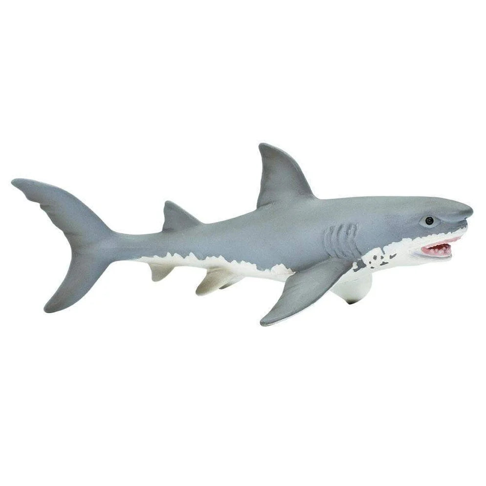 Safari Great White Shark-S275029