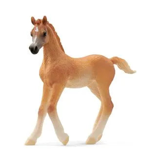Schleich Arab foal