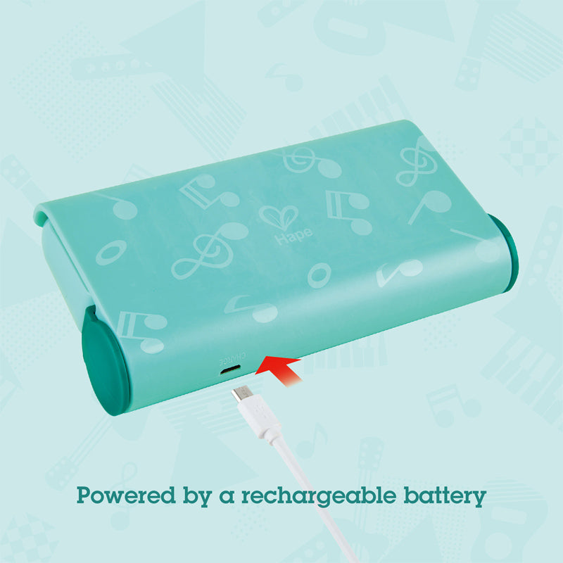 Hape teach-me Harmonica