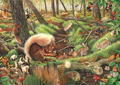 The House of Puzzles - Save Our Squirrels - 1000 piece Jigsaw