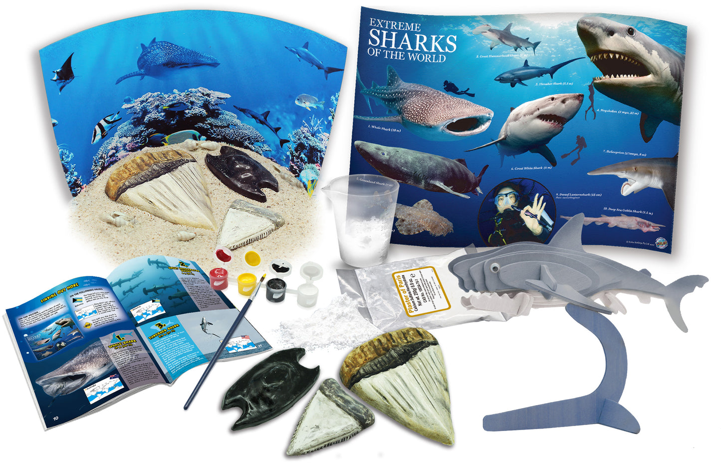 Wild Environmental Science Extreme Sharks of the World