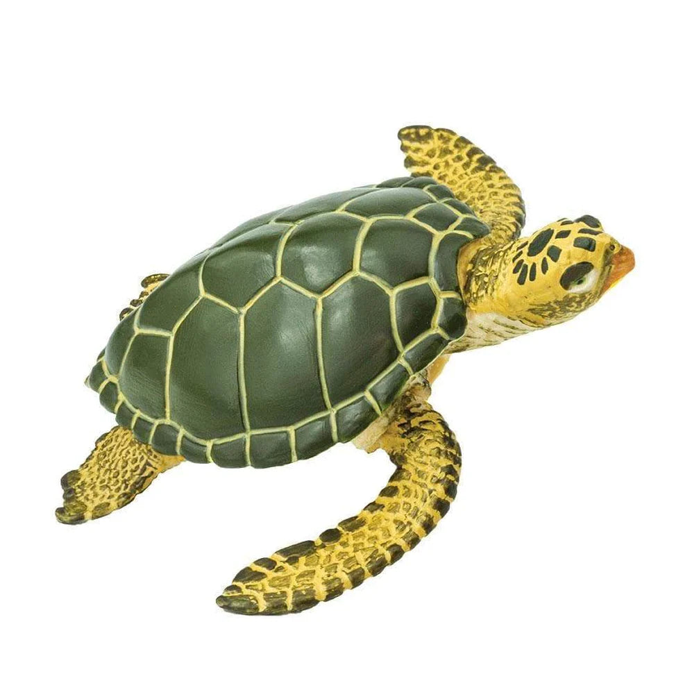 Safari Green Sea Turtle (Green)