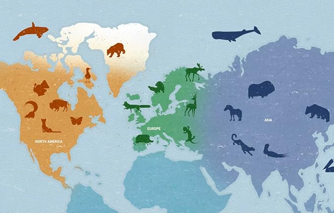 Animals Of The World Hardback Book