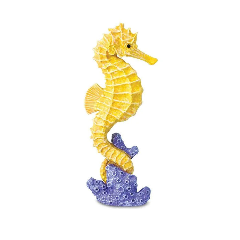 Safari Seahorse