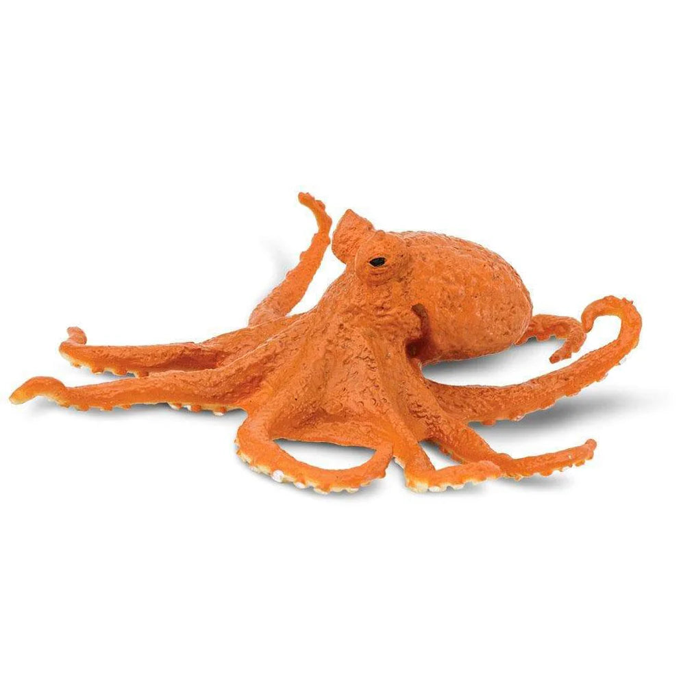 Safari Octopus-S274429