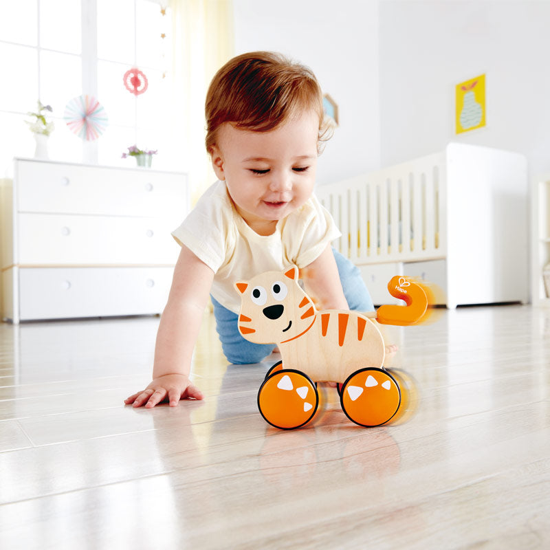 Hape Dante Push & Go!