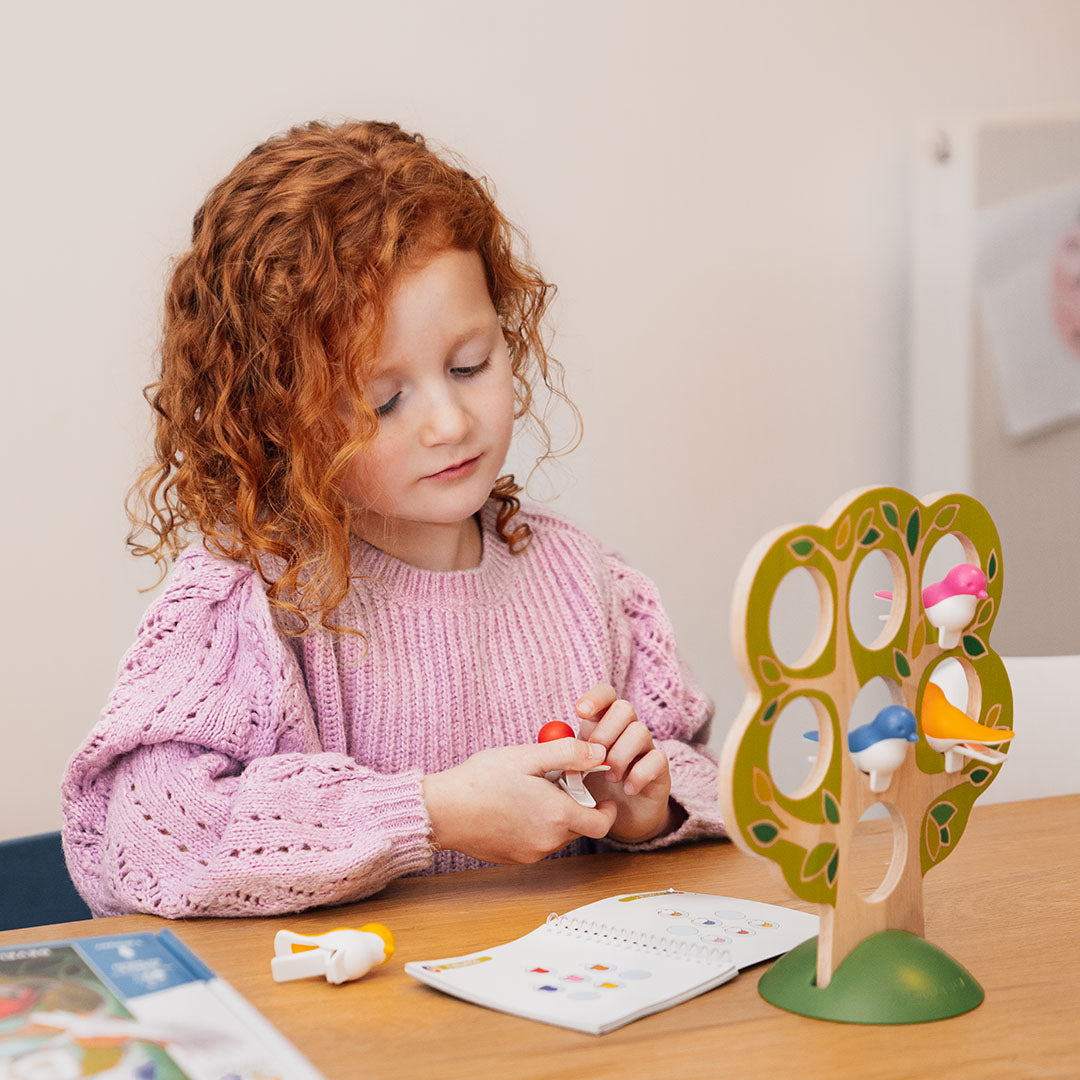 Smart Games Five Little Birds