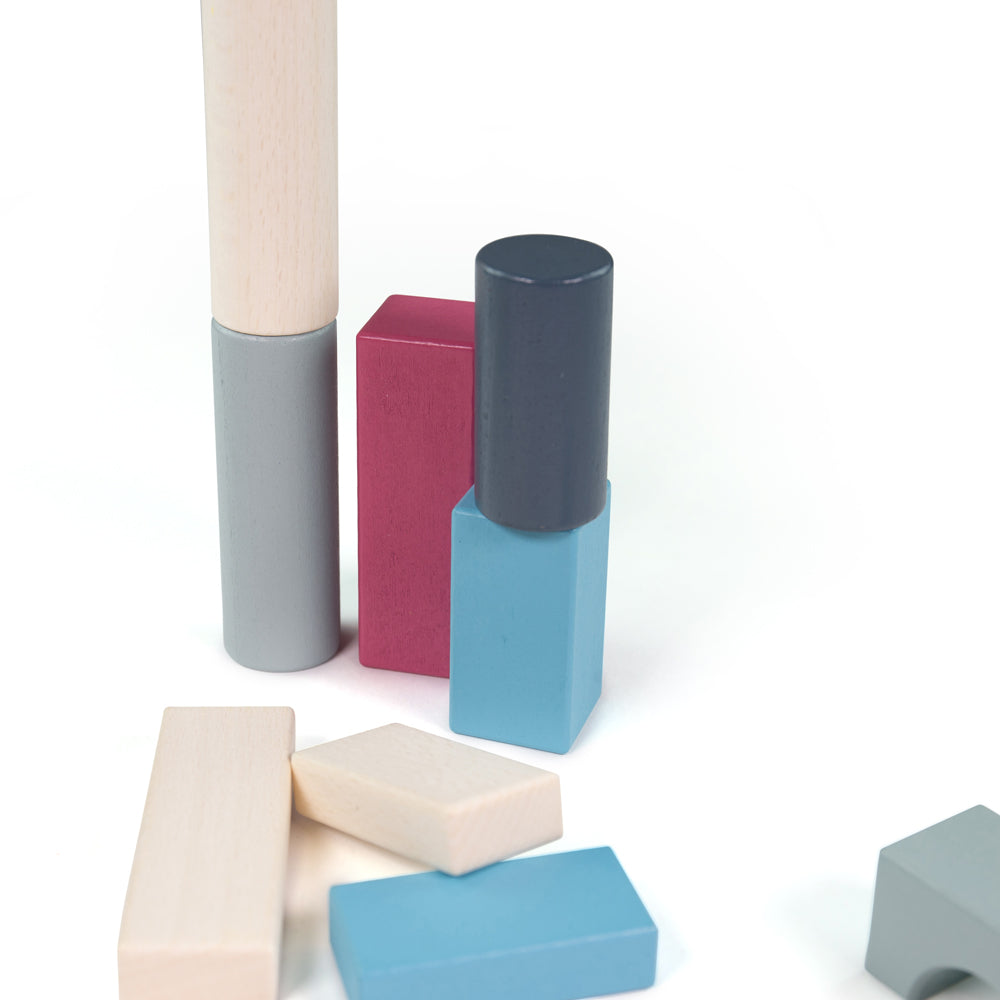 BigJigs Drum of 50 Blocks - FSC 100%