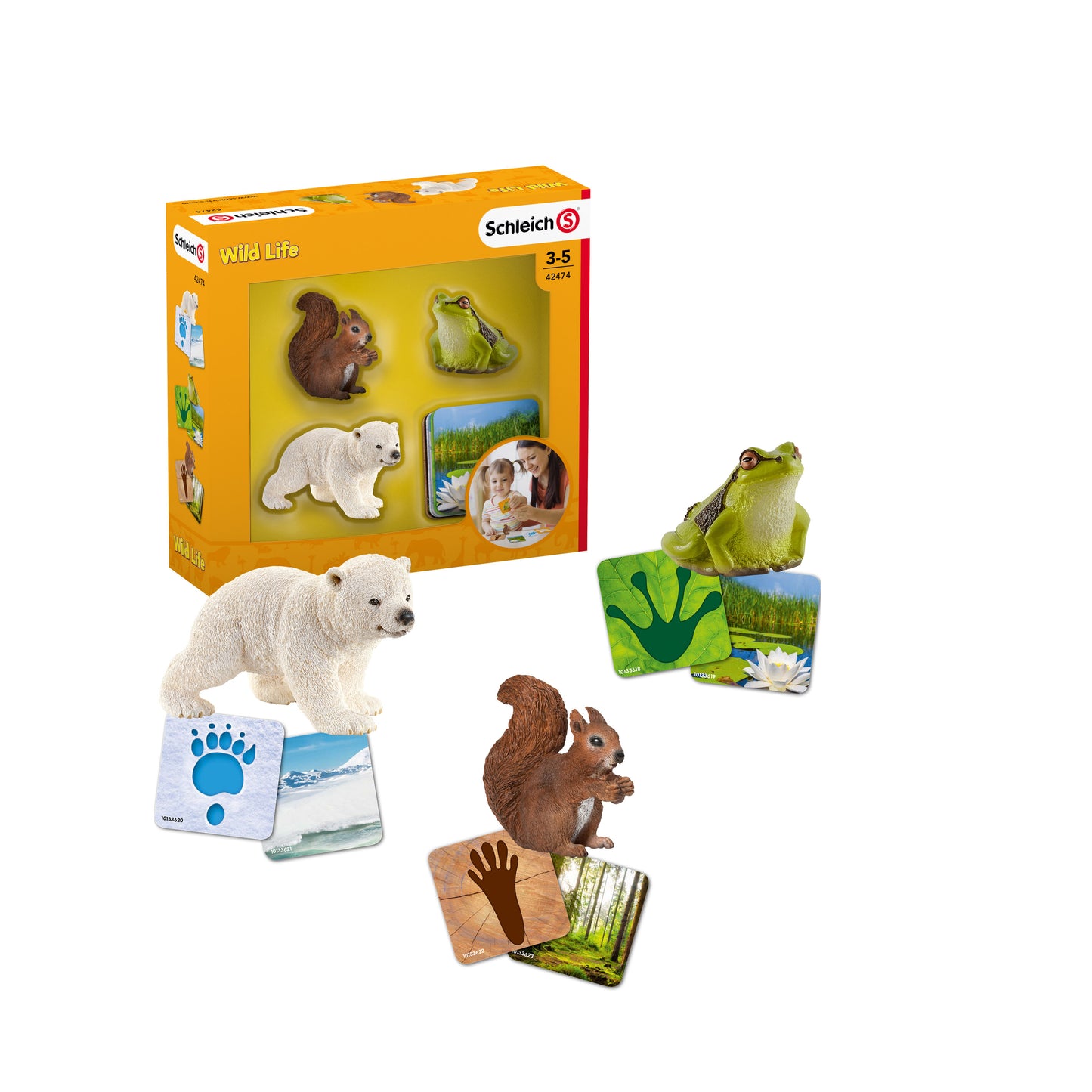 Schleich Schleich Wild Life Flash Cards