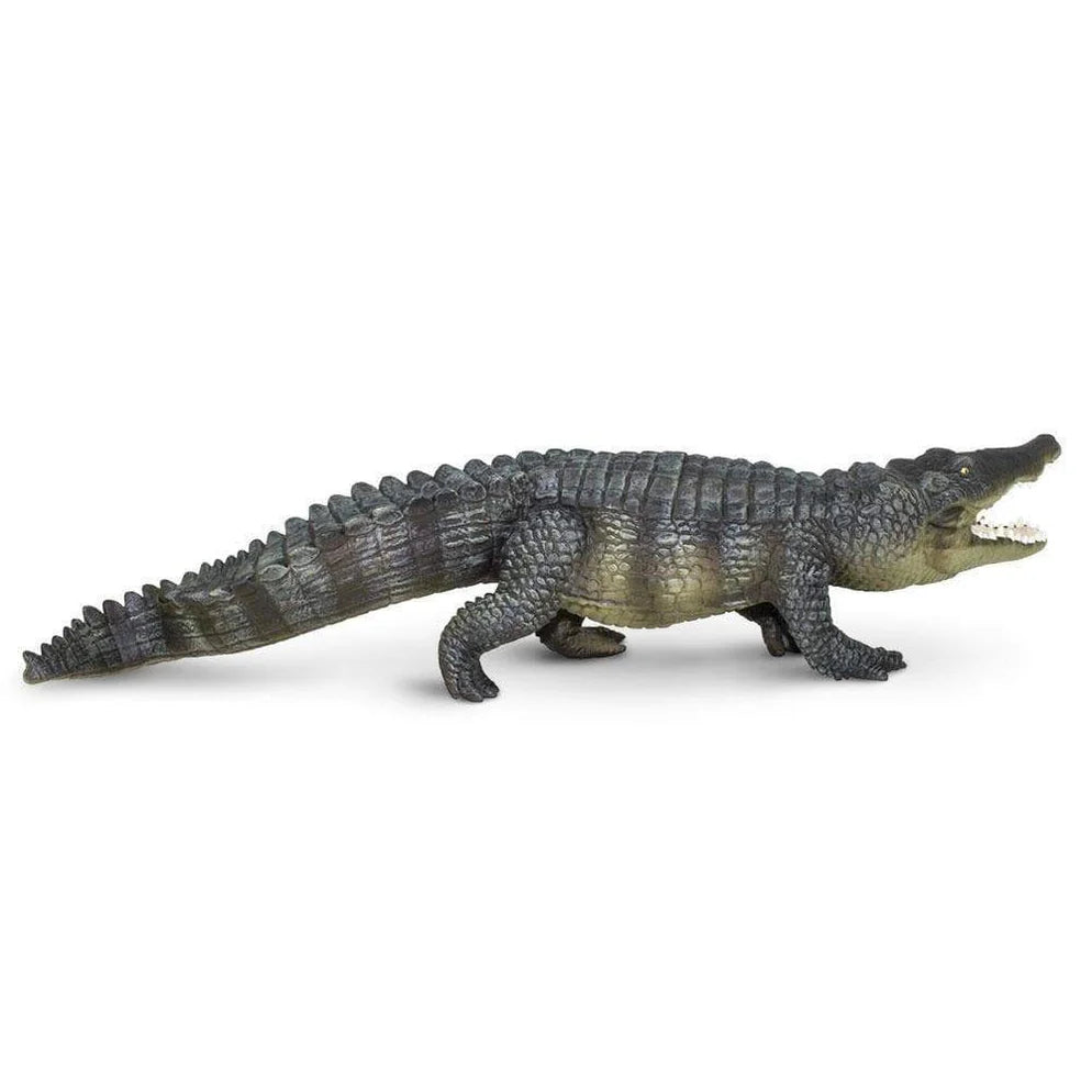 Safari Saltwater Crocodile