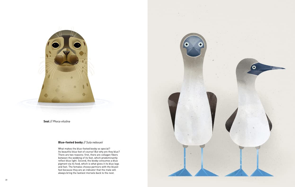 Animals Of The World Hardback Book