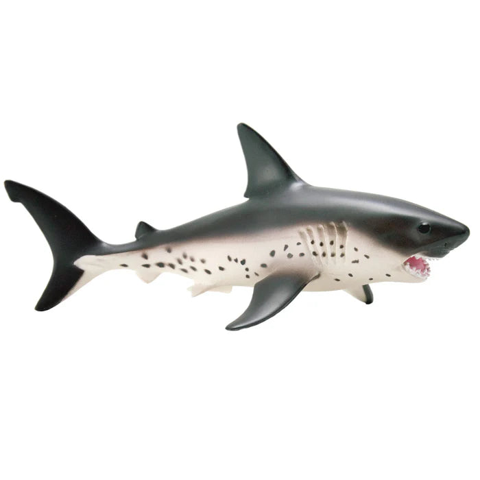 Safari Salmon Shark