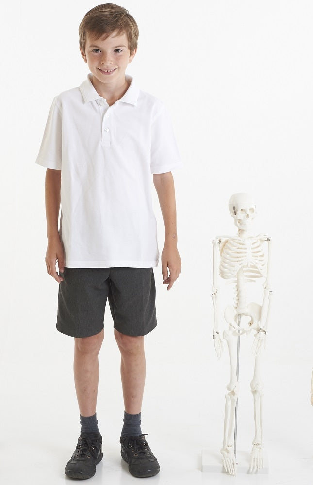 TickiT Half-Scale Skeleton