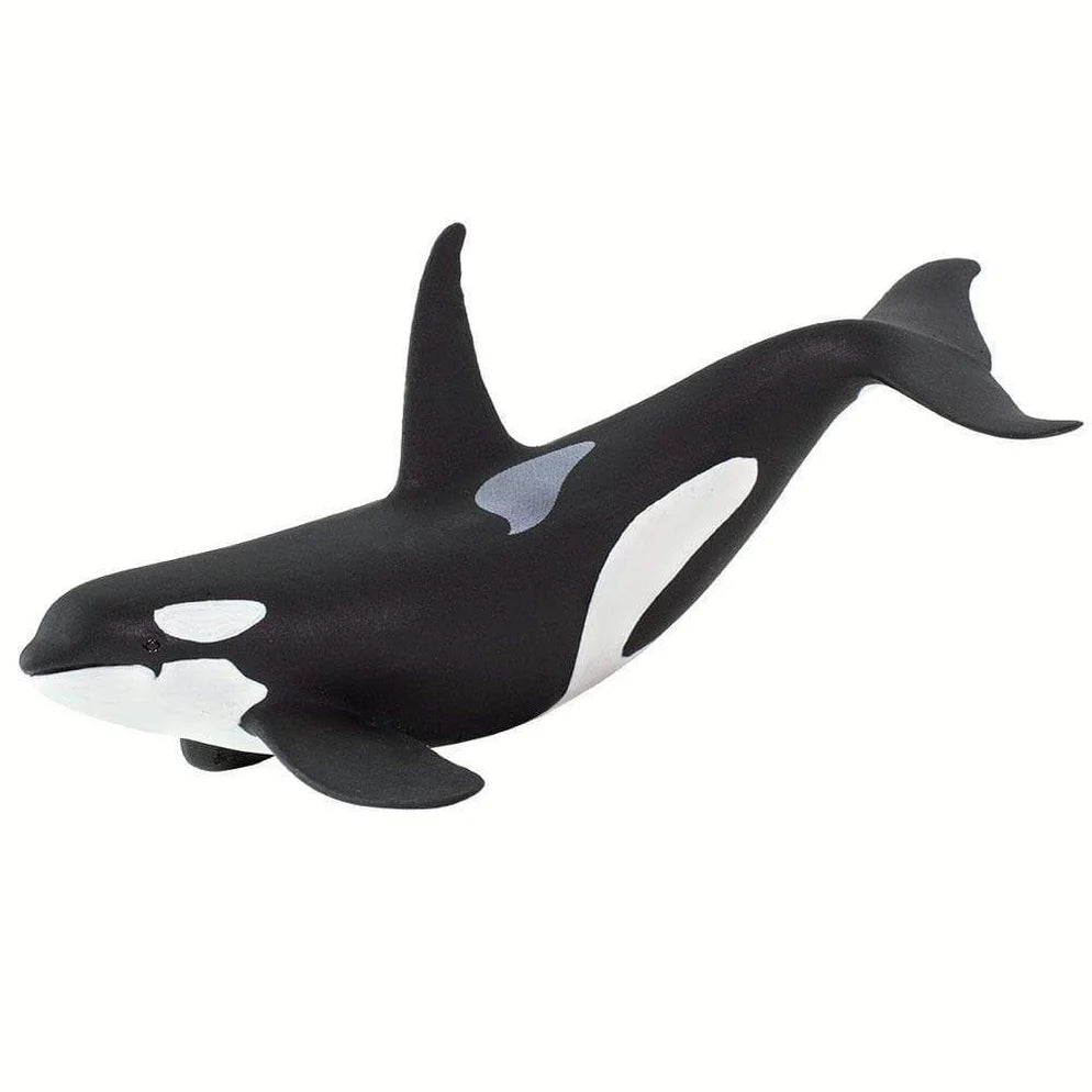 Safari Orca-S100232