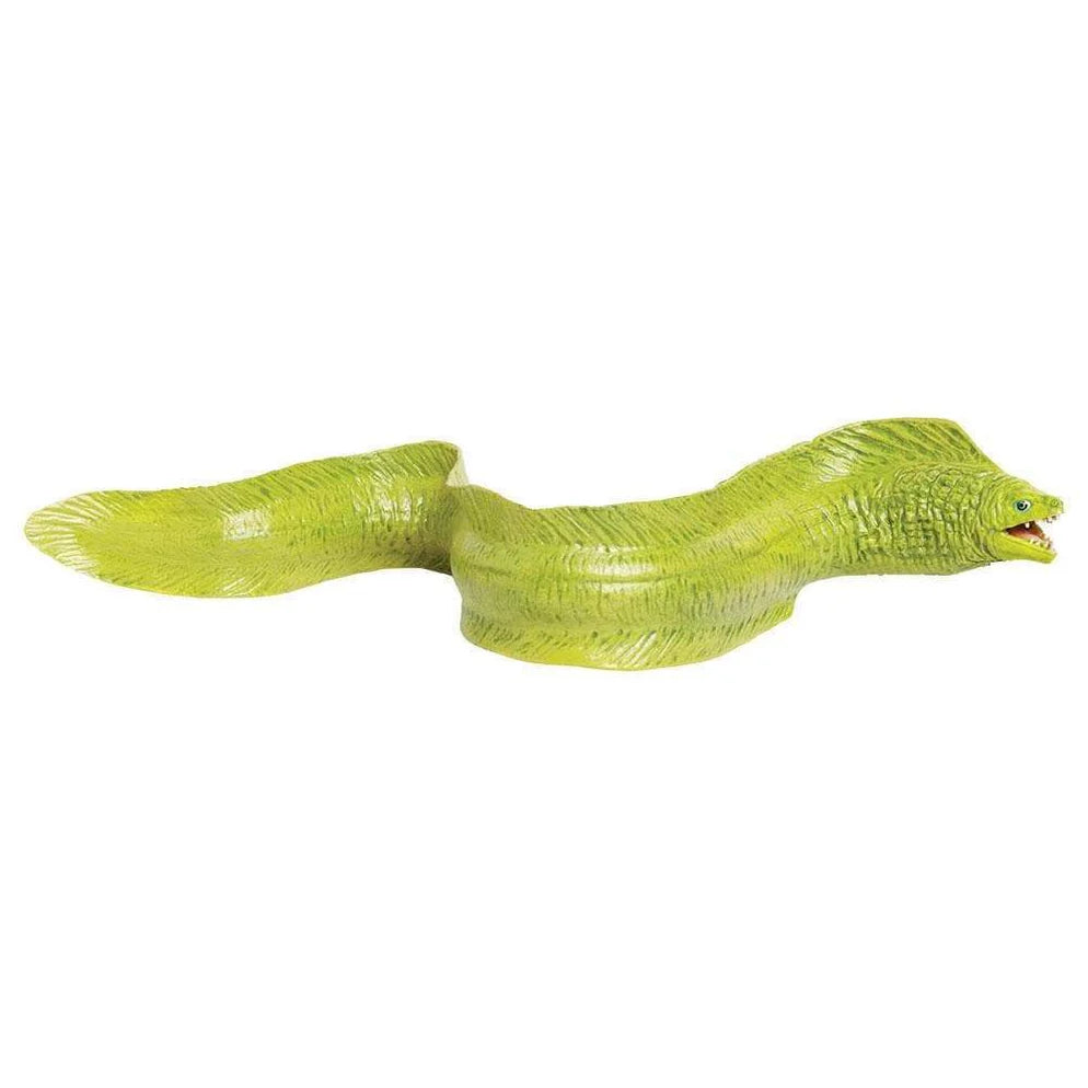 Safari Moray Eel
