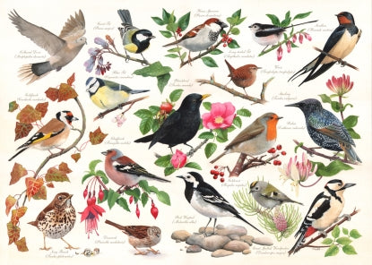 The House of Puzzles - Birds in my Garden - 1000 piece Jigsaw