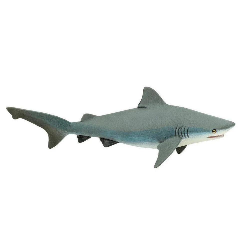 Safari Bull Shark