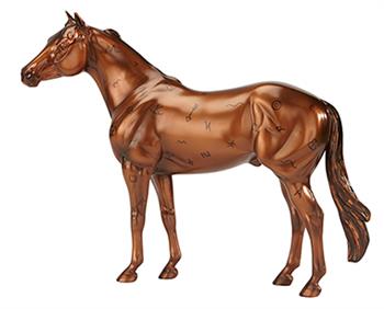Breyer Bandera -- The Ranch Horse Limited Edition