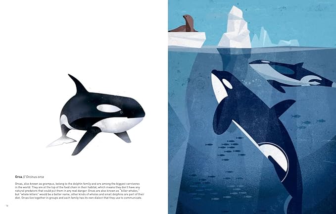 Animals Of The World Hardback Book