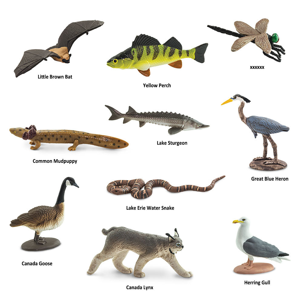 Safari Toob Great Lakes (10 Pieces)
