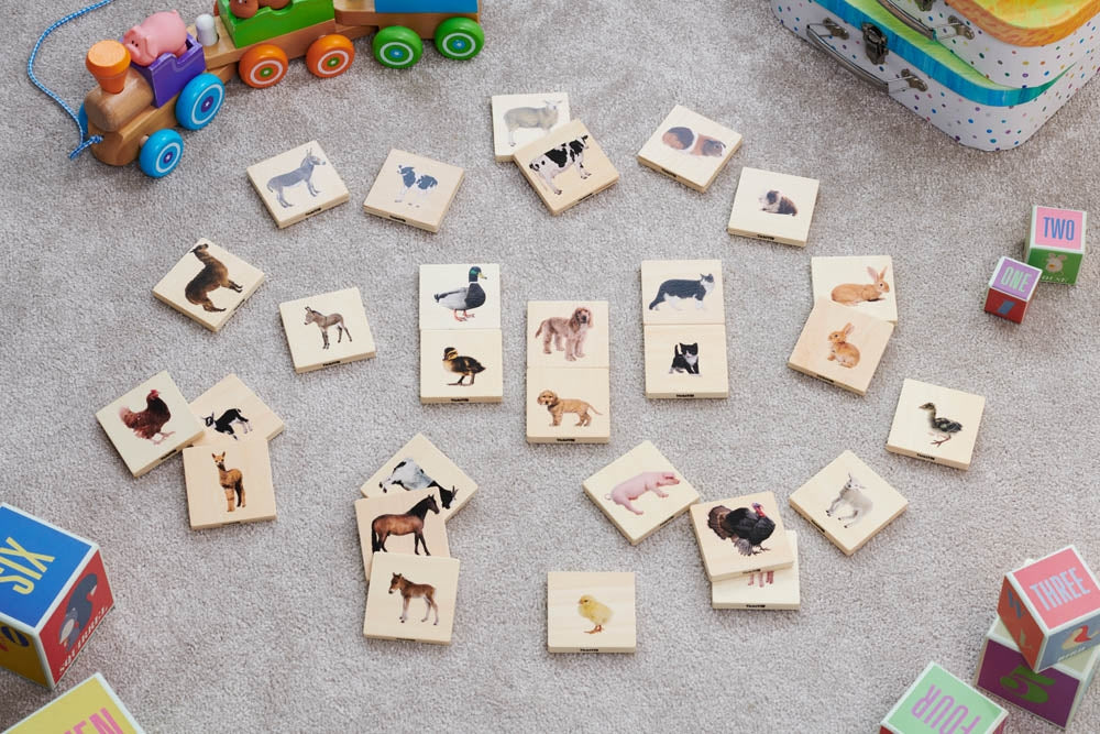 TickiT Domestic Animal Family Match