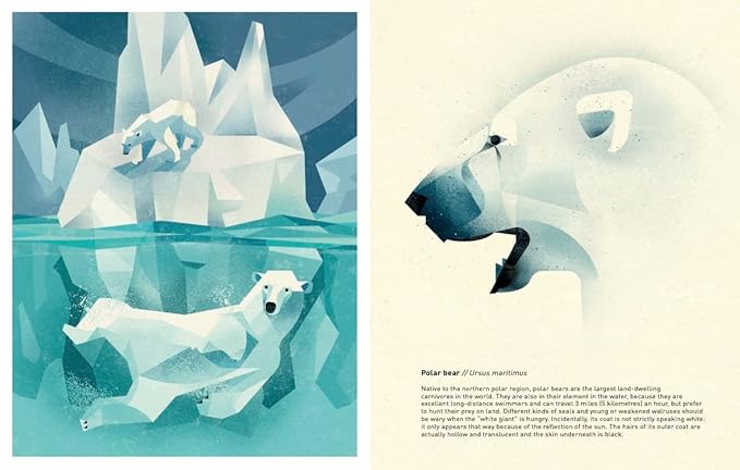 Animals Of The World Hardback Book