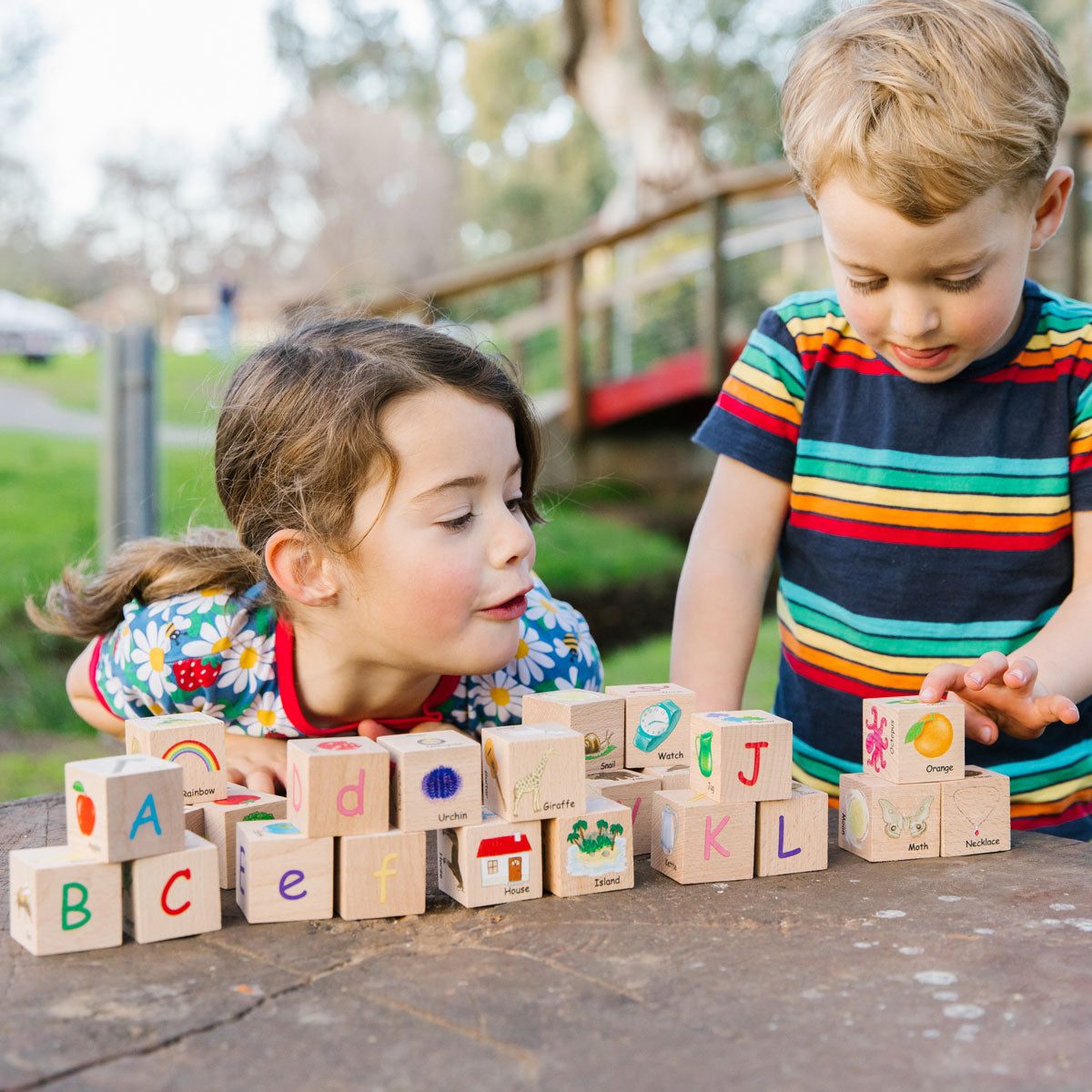 The Freckled Frog ABC Blocks