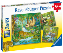 Ravensburger Jungle Fun, 3x49pc