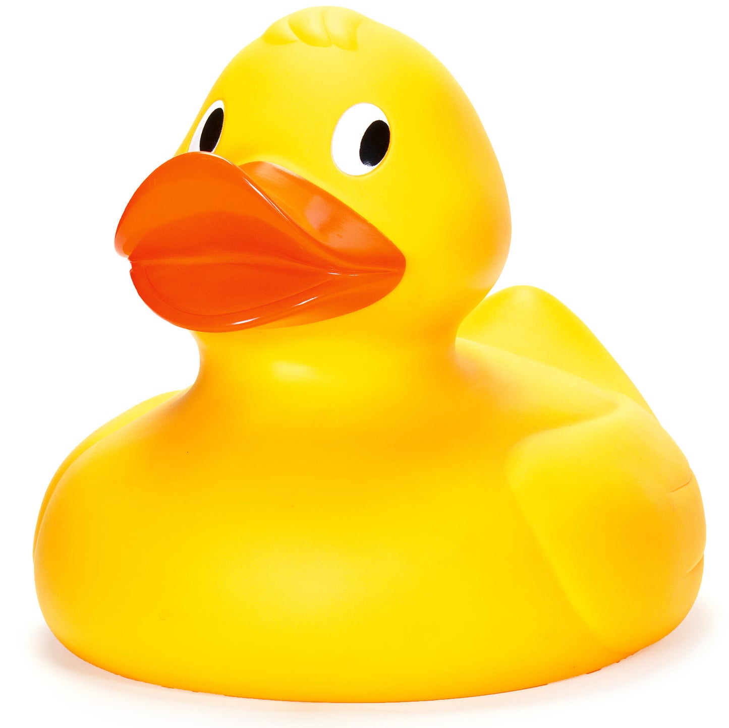 Tobar Giant Duck