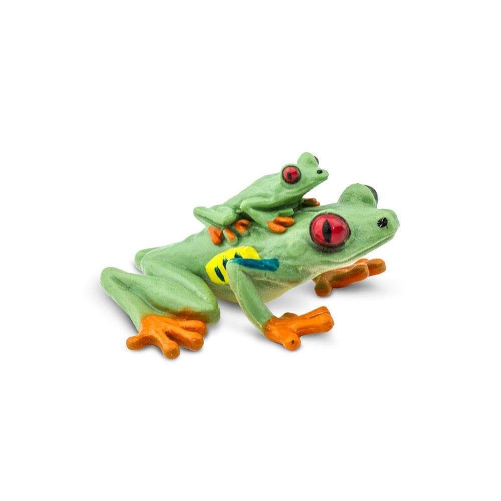 Safari Red-Eyed Tree Frog