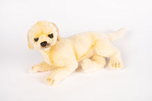 Hansa Golden Retriever